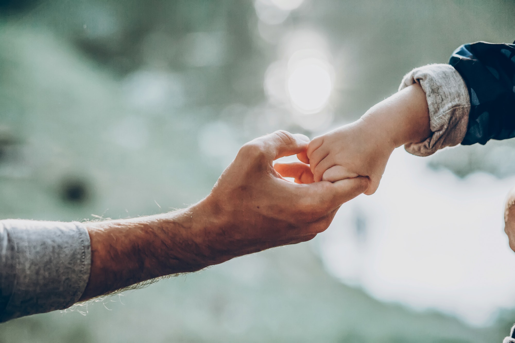 Father and son holding hands outdoors
